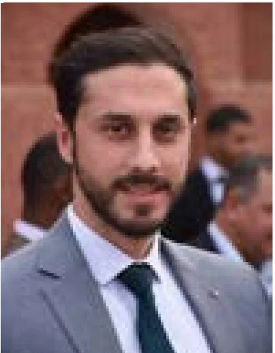 Amir Akerma — Chief Executive Officer